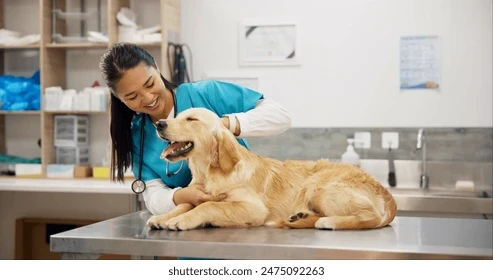 Veterinary